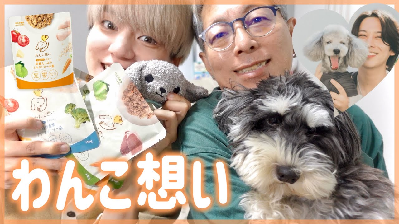 【わんこ想い】おすすめドッグーフード1週間試してみた！ぐりぃちゃんねる🐾