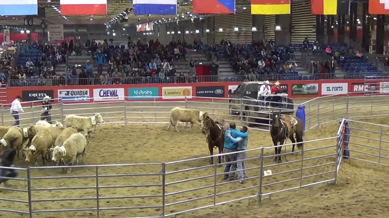 2016-10-29 MASTER RANCH SORTING EQUITA LYON