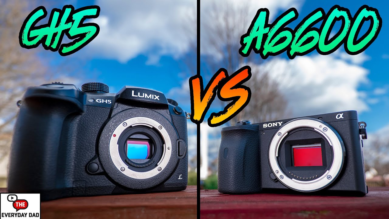 Sony A6600 VS Panasonic GH5 | Is Autofocus REALLY Worth it?!