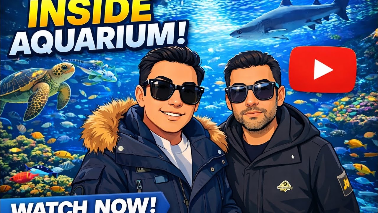 China Aquarium Tour 🦈🇨🇳 | A Stunning Underwater World| fidara pathways 
