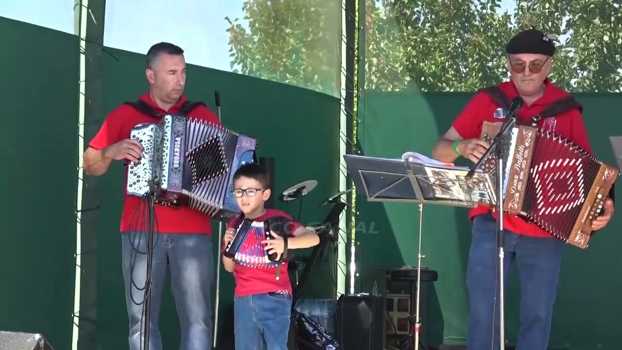Concertinas Museu Regional de Cucujães em Estarreja, 2025  (07)