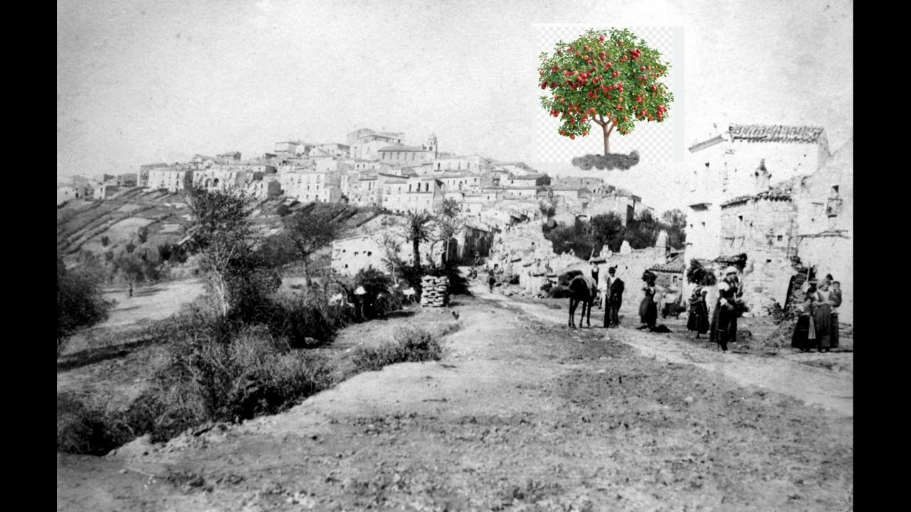 La favola dell'albero e del mendicante in un piccolo paesino di montagna.