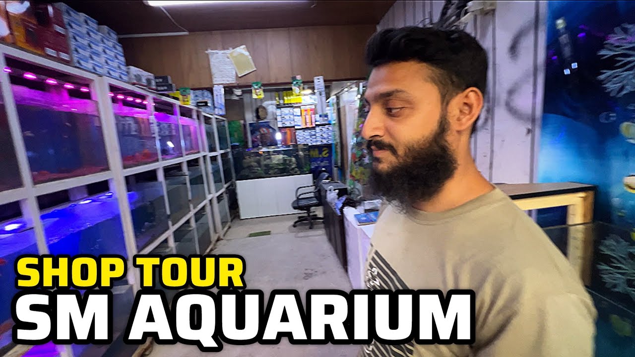 SM Fish Aquarium Latest Shop Tour with Price Updates - Imran's World