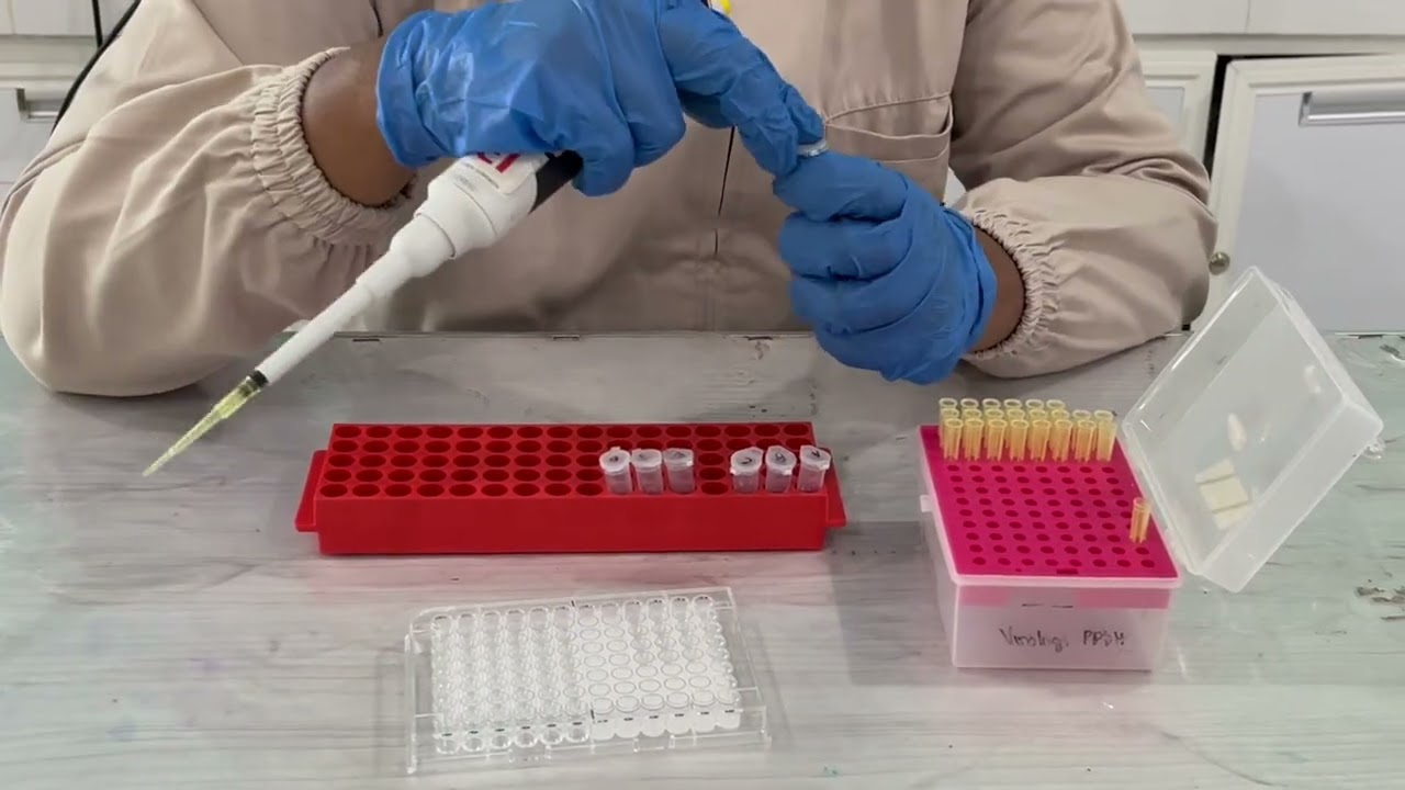 Prosedur Metode Uji Laboratorium Indirect ELISA