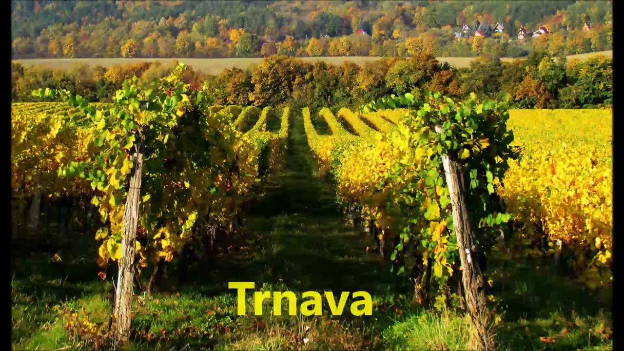 Trnava
