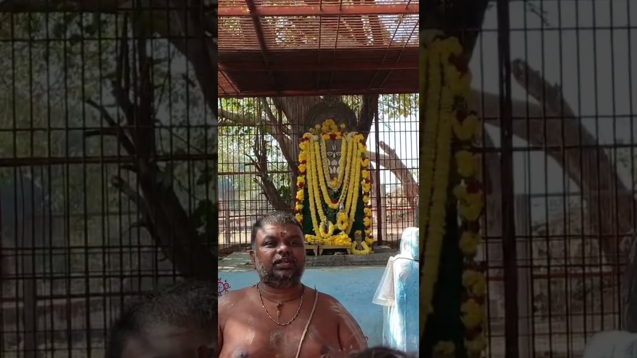 ಶ್ರೀ ಗುರು ರಾಘವೇಂದ್ರ ಸ್ವಾಮಿಗಳ ಸನ್ನಿಧಿ 