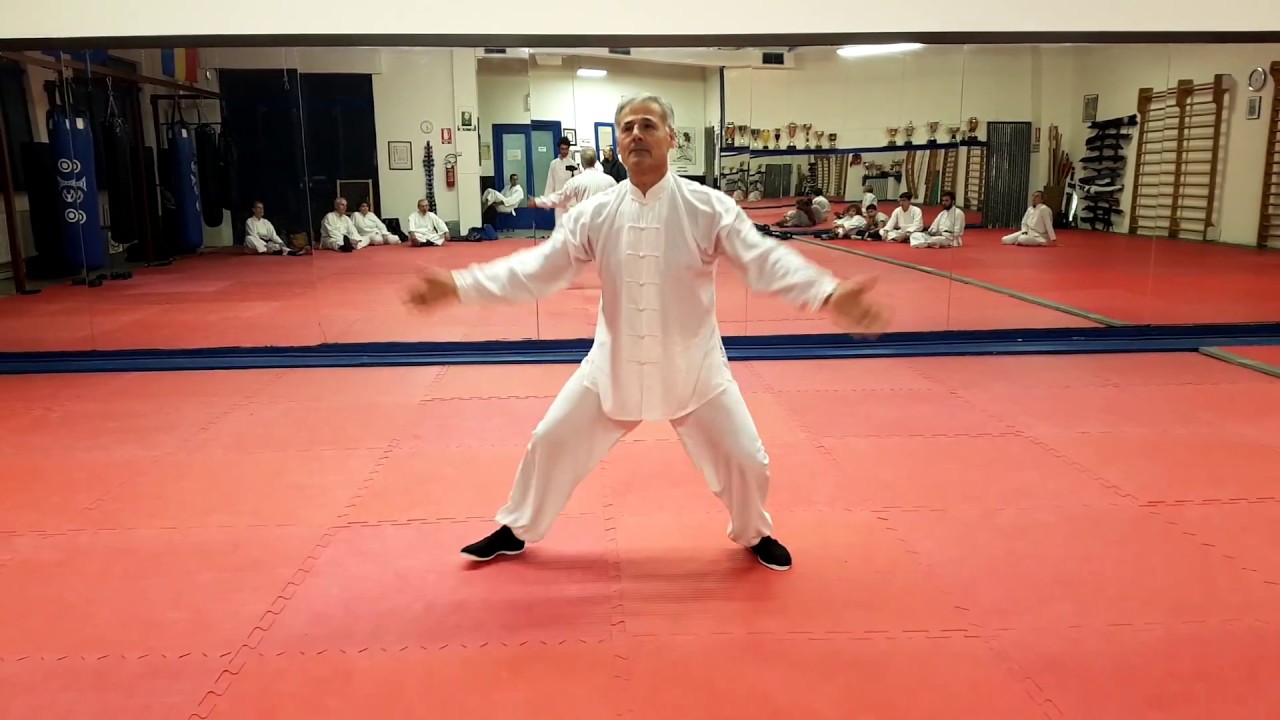 4 Tai Chi Ch'uan Ti Szu Lu - Maestro Butera