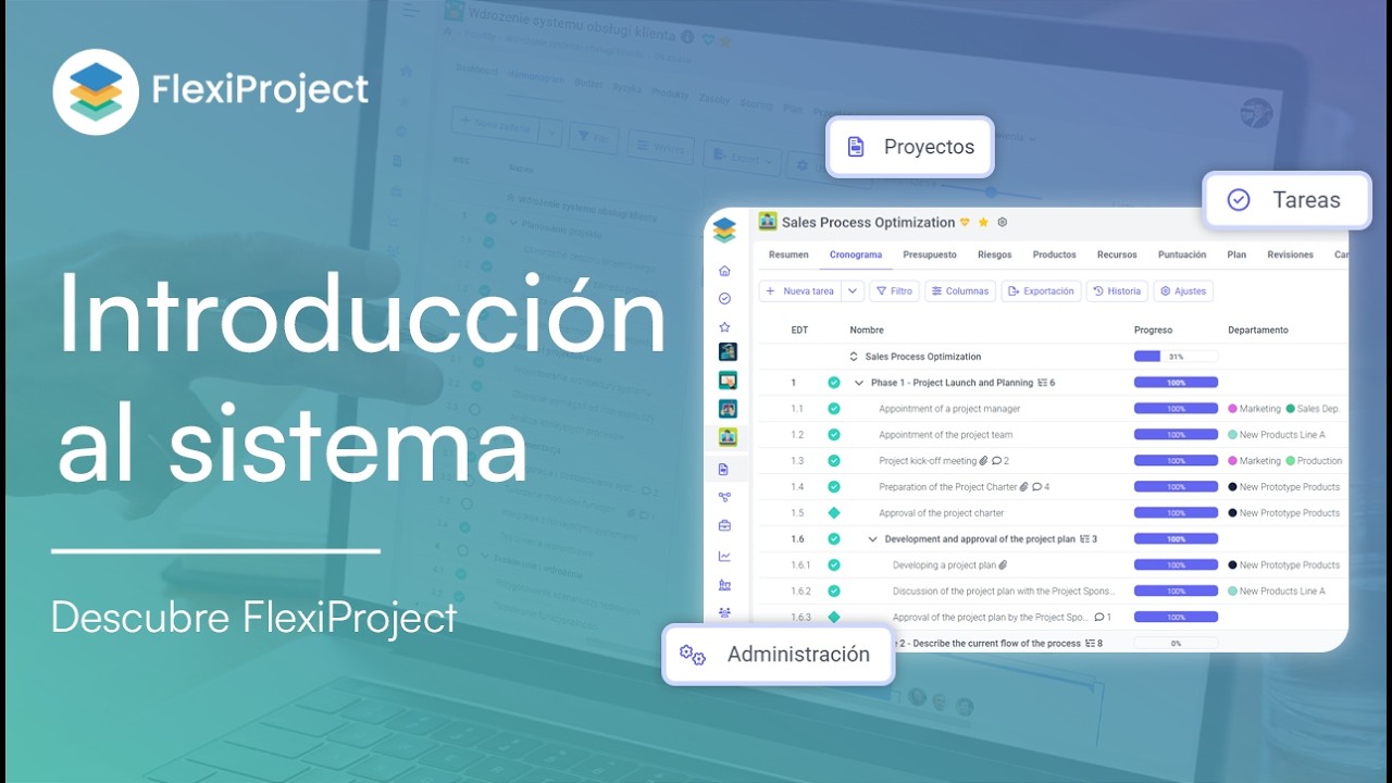 Visión general del sistema FlexiProject