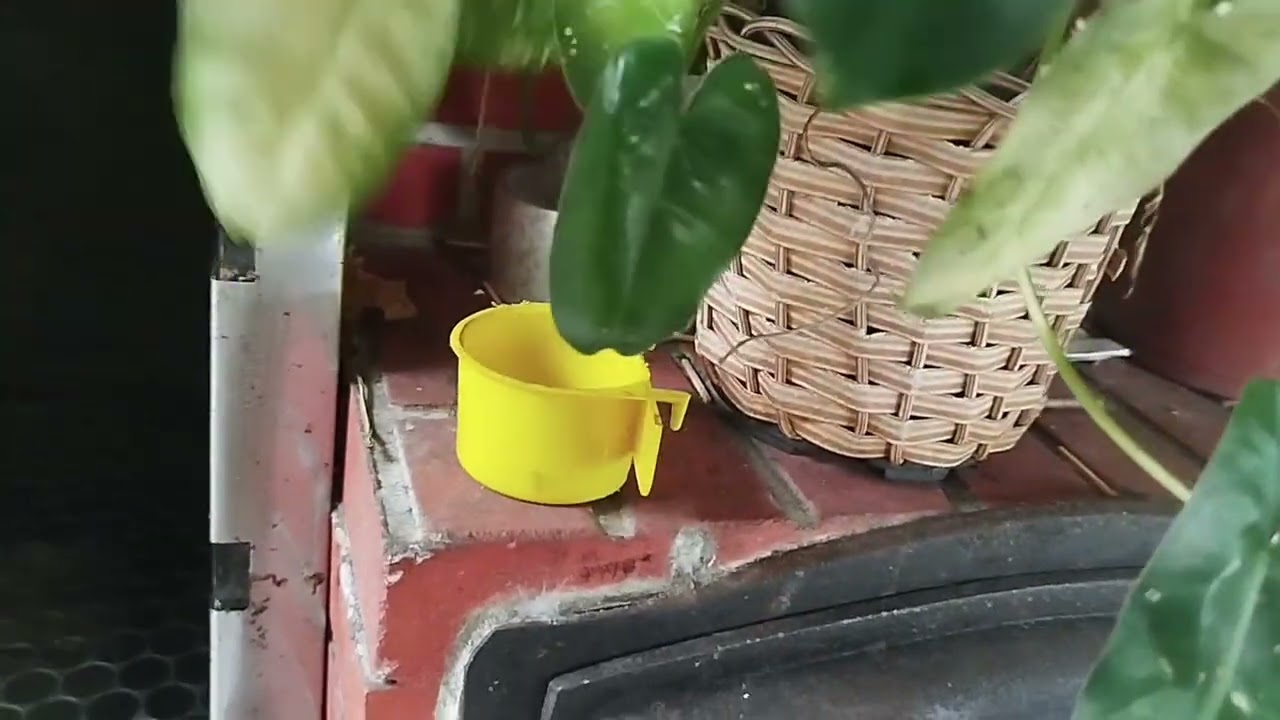  Registro de mudanças/Não imaginava que isso tinha acontecido 