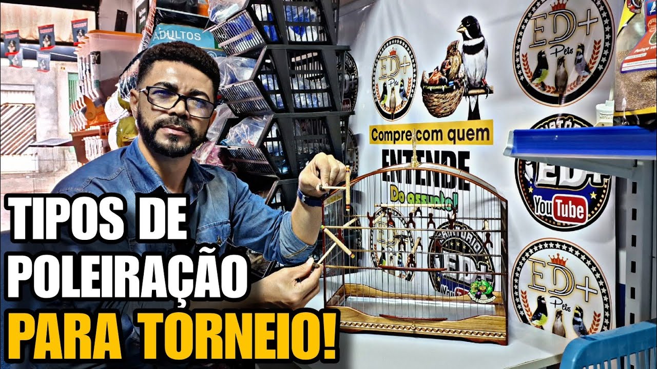 coleiro BRIGÃO,  CONCENTRADO e TRADICIONAL,  tipos de POLEIRAÇÃO!