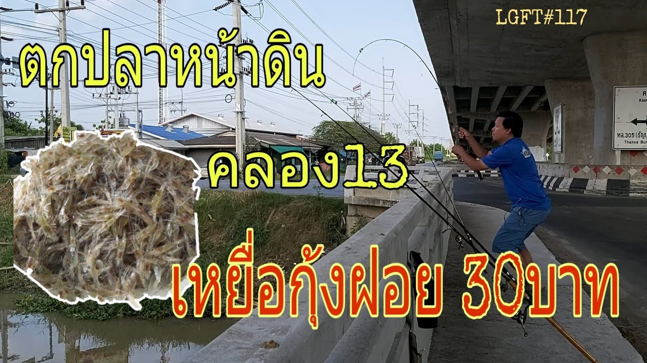 ตกปลาหน้าดิน คลอง 13 เหยื่อกุ้งฝอย 30 บาท จะได้ปลาอะไร! LGFT#117