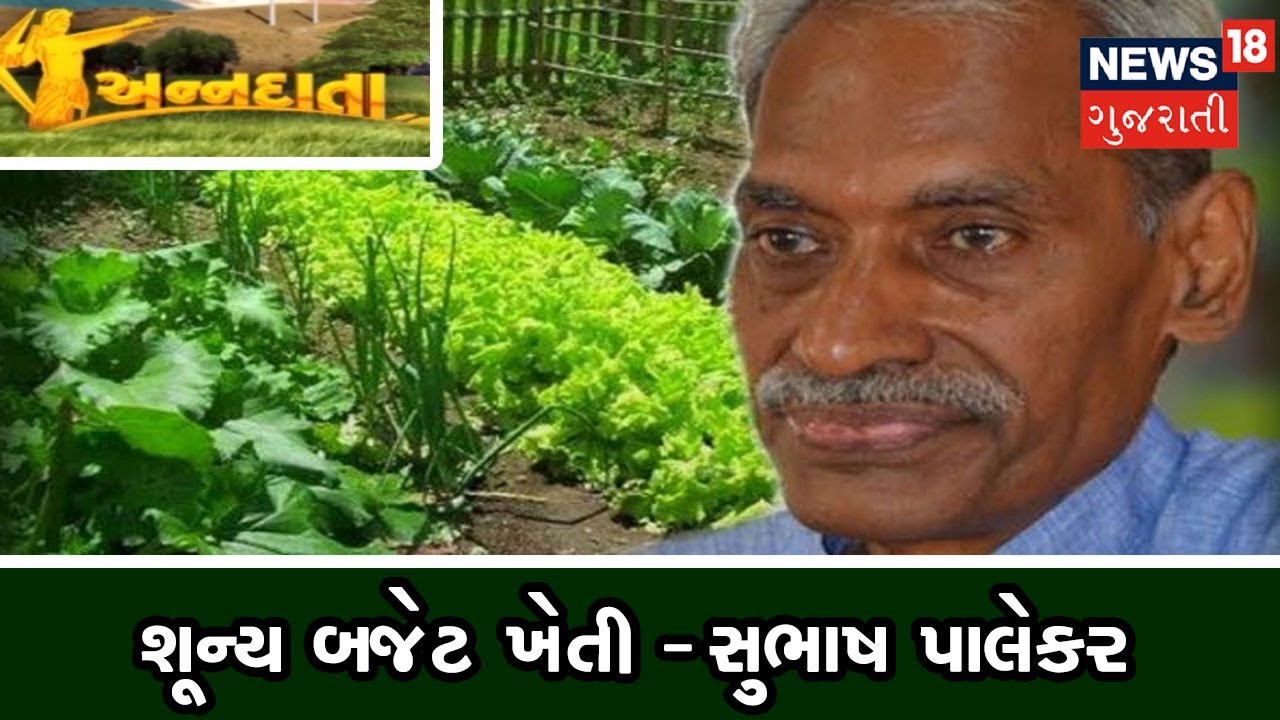 સુભાષ પાલેકર - ઝીરો બજેટ ખેતીથી મેળનો મબલખ ઉત્પાદન । ANNADATA | News18 Gujarati