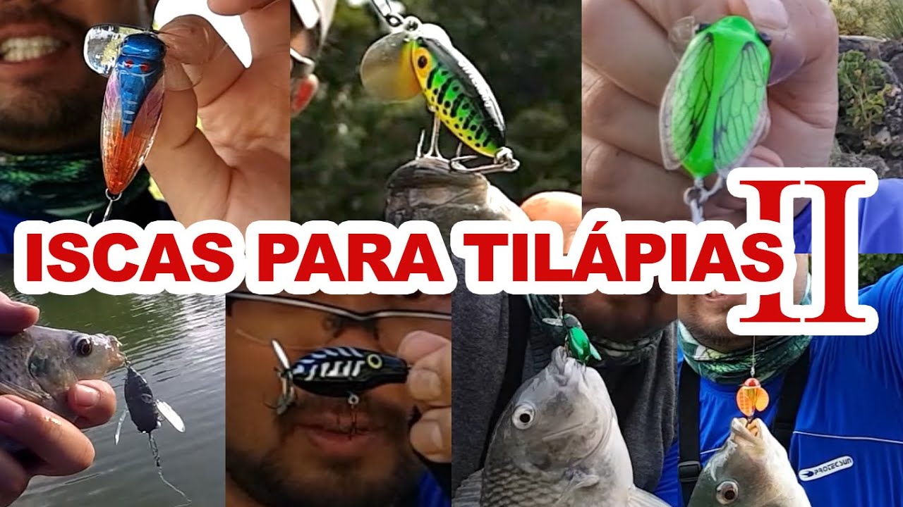 EP 65 - Iscas artificiais para tilápias 2