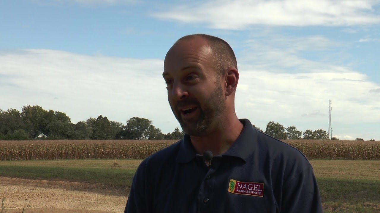 Career Connections: Grain Elevator Manager