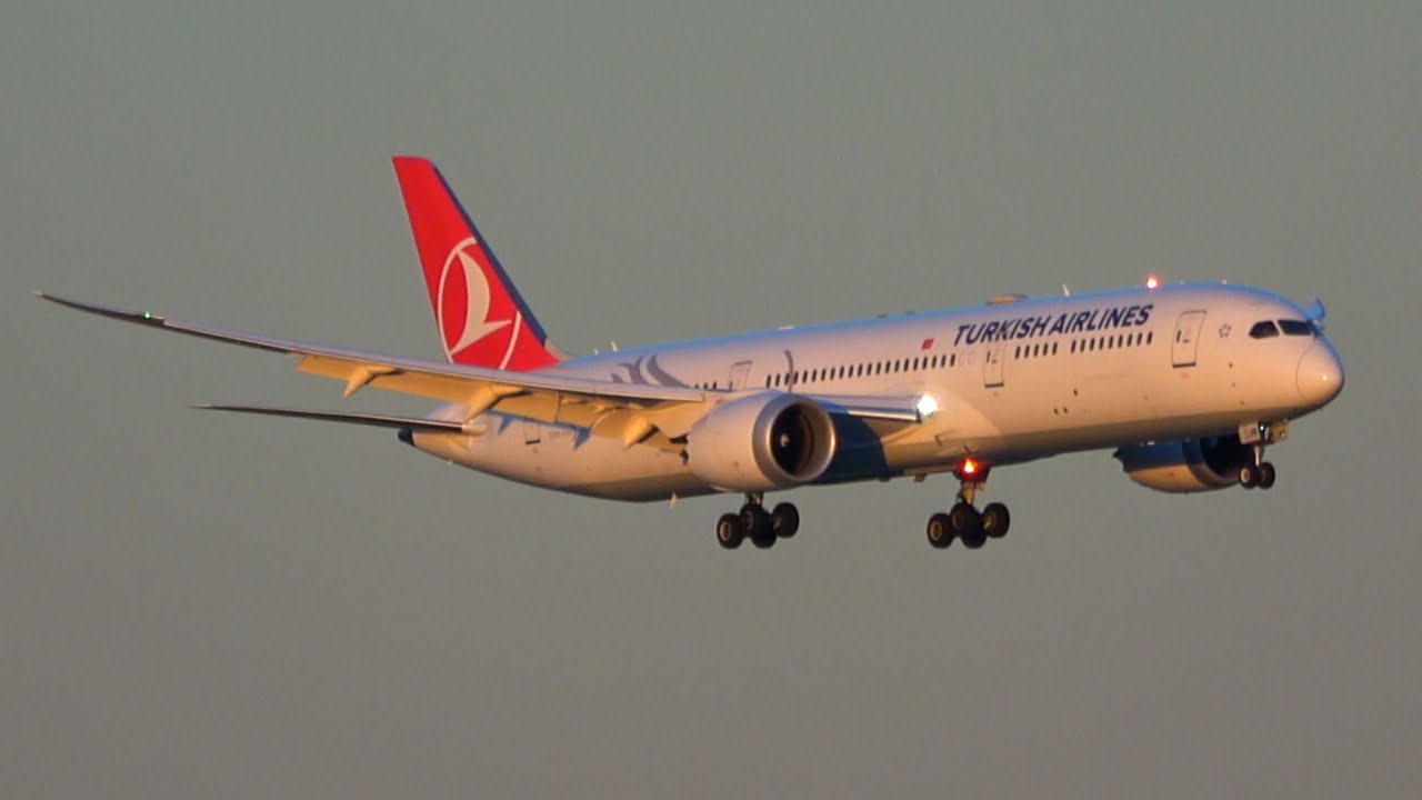 Plane Spotting at Detroit Metro Airport - October 16, 2025 