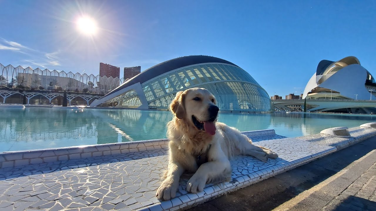 Valencia - nov 25