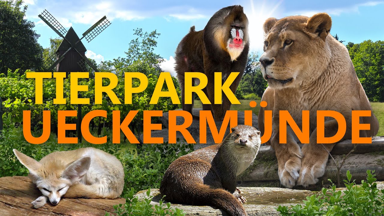 Tierpark Ueckermünde | Zoo-Eindruck