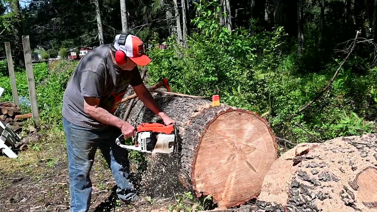 День, когда Земля остановилась STIHL - Часть 3. Резка винтажными бензопилами Stihl 075 и 051!