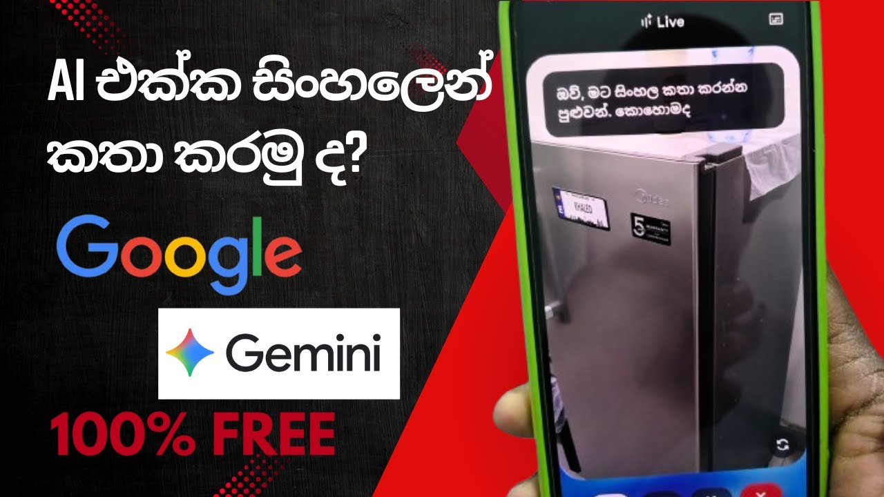 How to get google Gemini ai - සිංහල