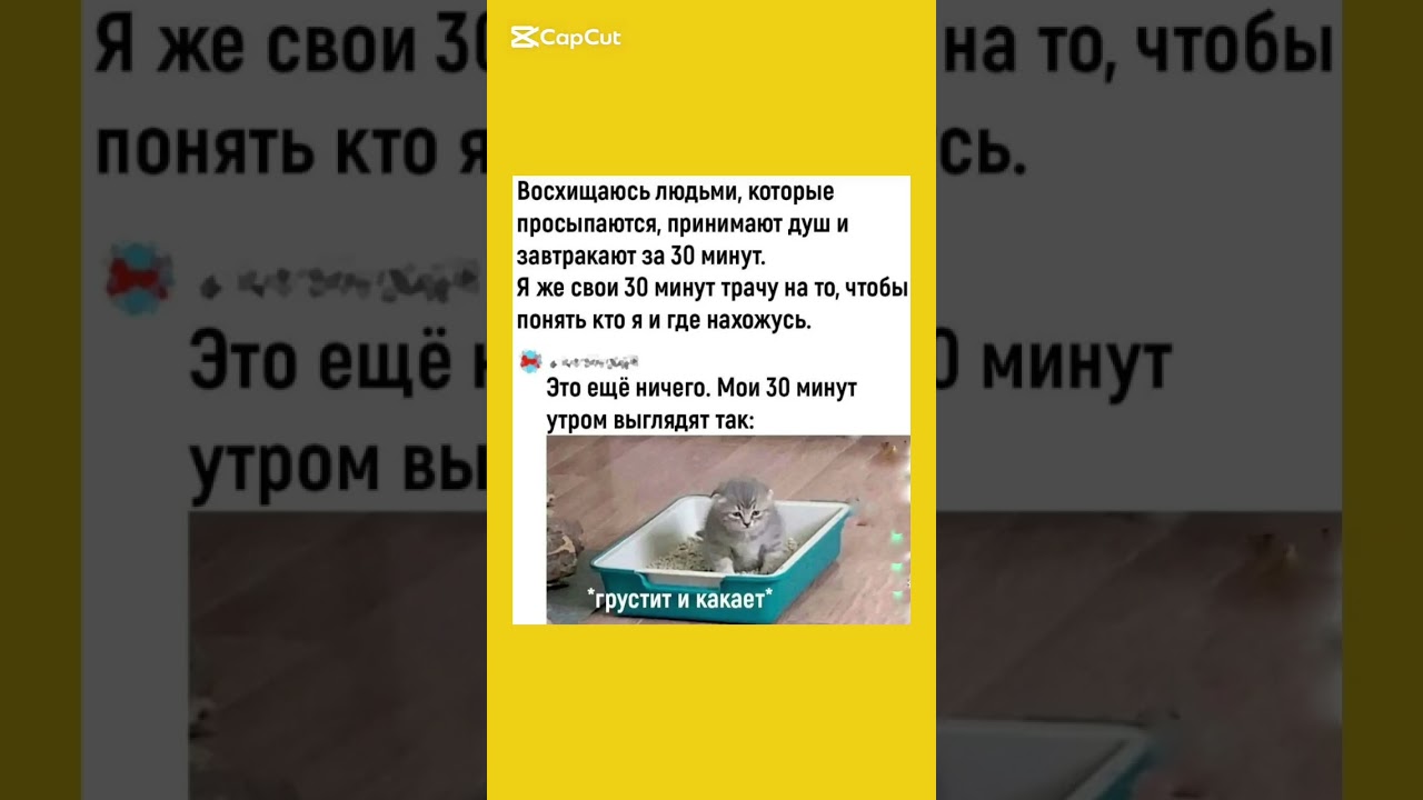 #шутка #юмор #жизненно #мем #смехпродлеваетжизнь #memes #прикол #humor #cat #кот