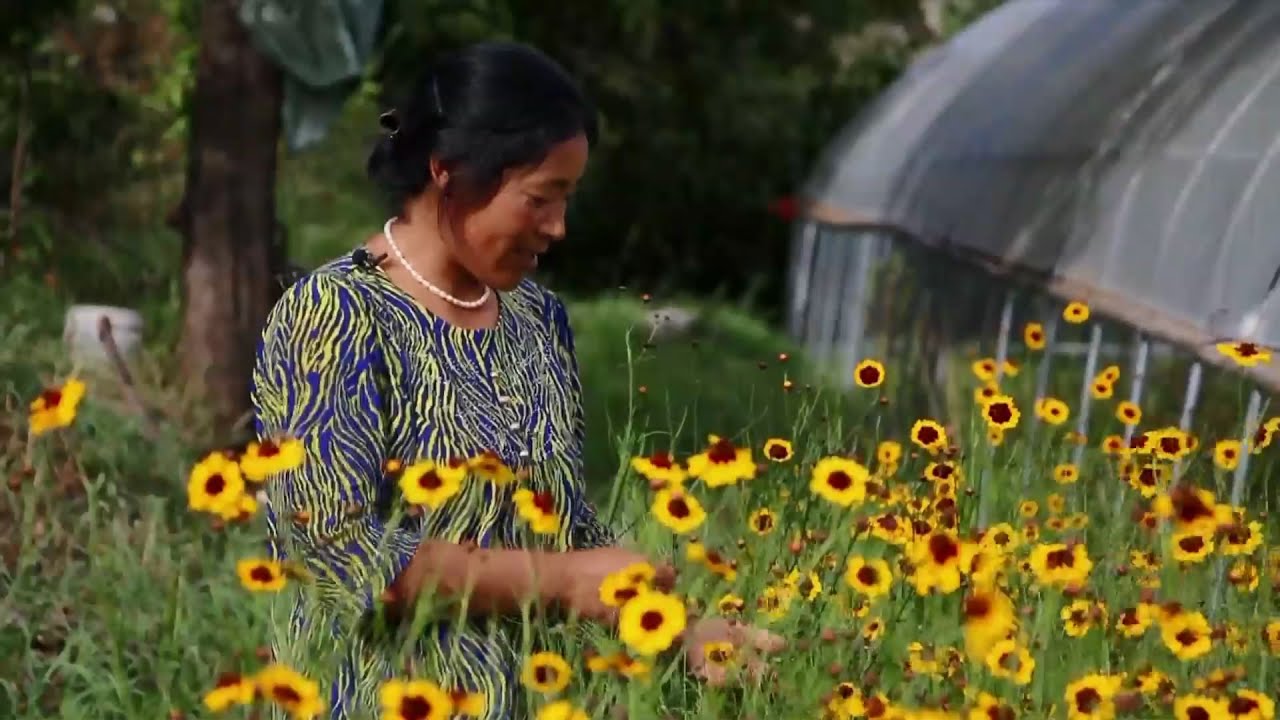 Traveling on the Plateau Episode 1 Batang, Land of Diligence