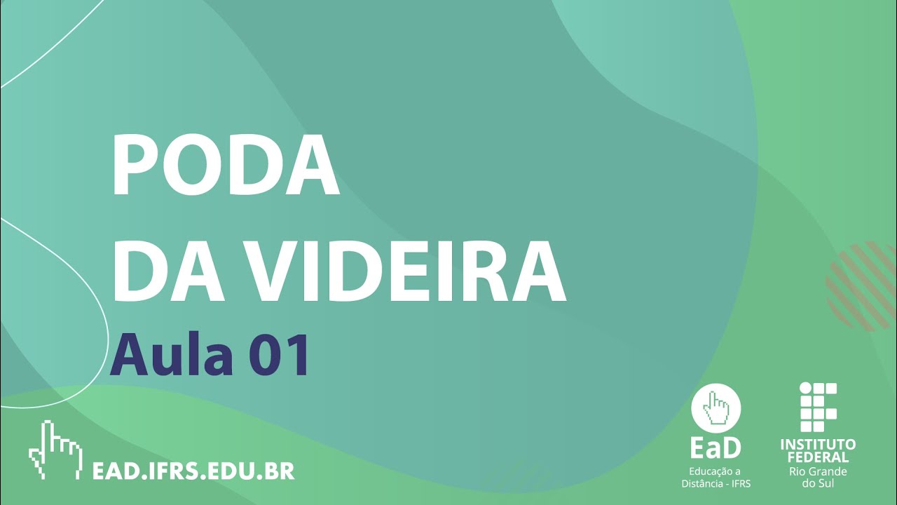 Poda da Videira   Vídeo 1