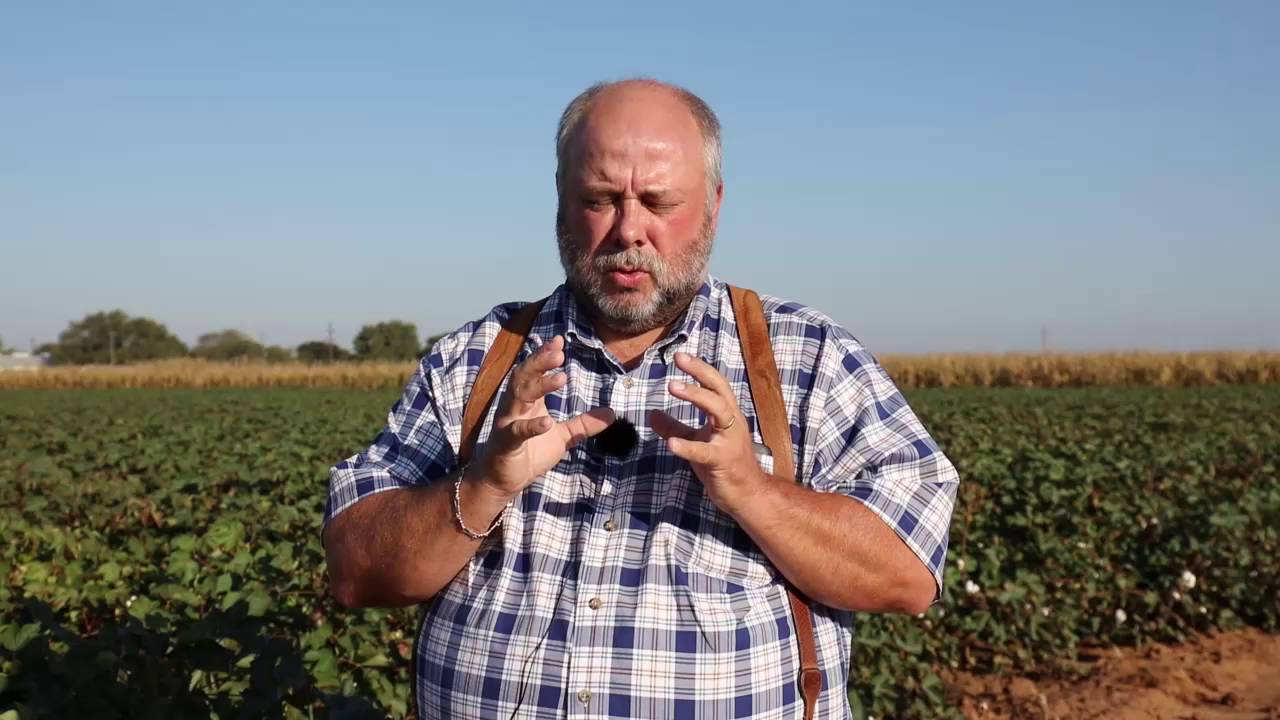 Cotton Harvest Aids Explained