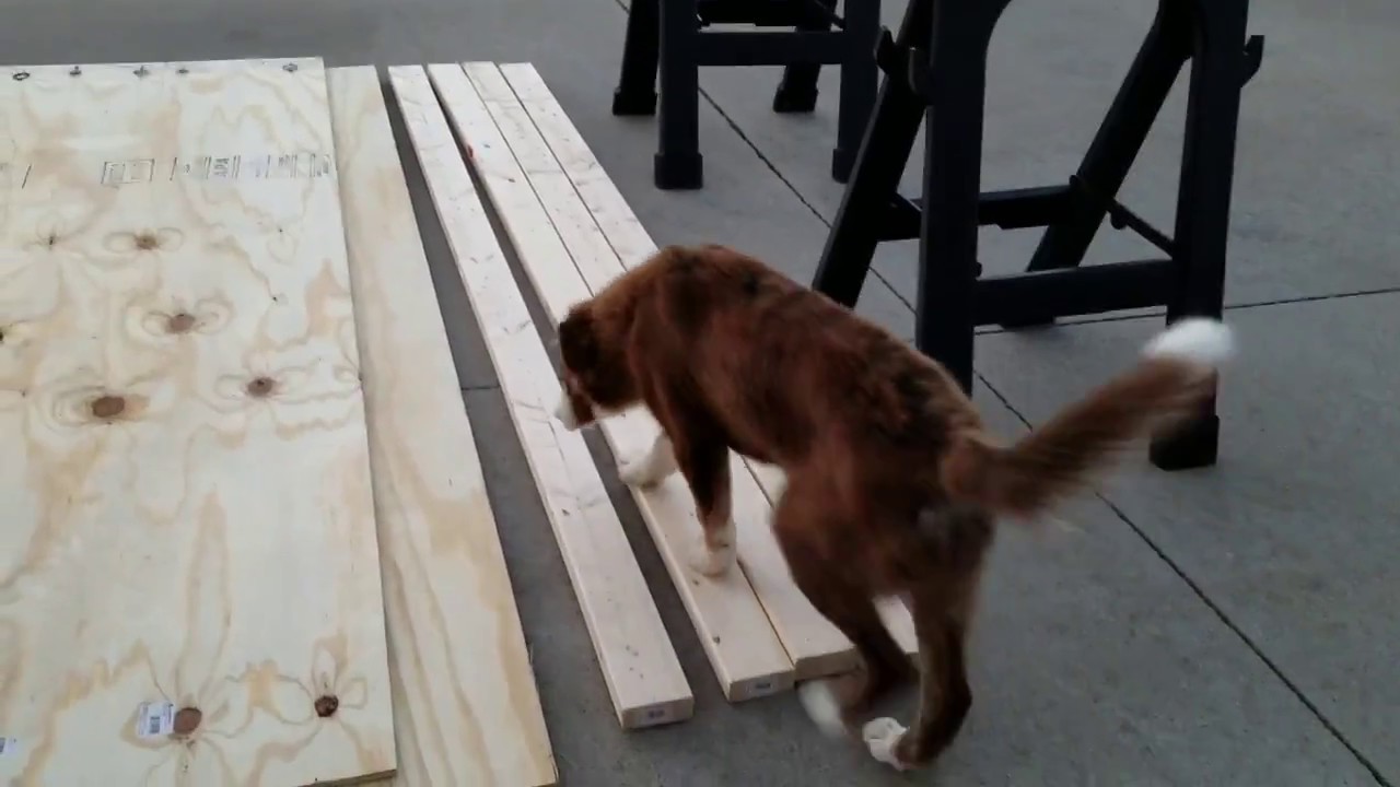 Build Dog Agility A-Frame (Step 1)