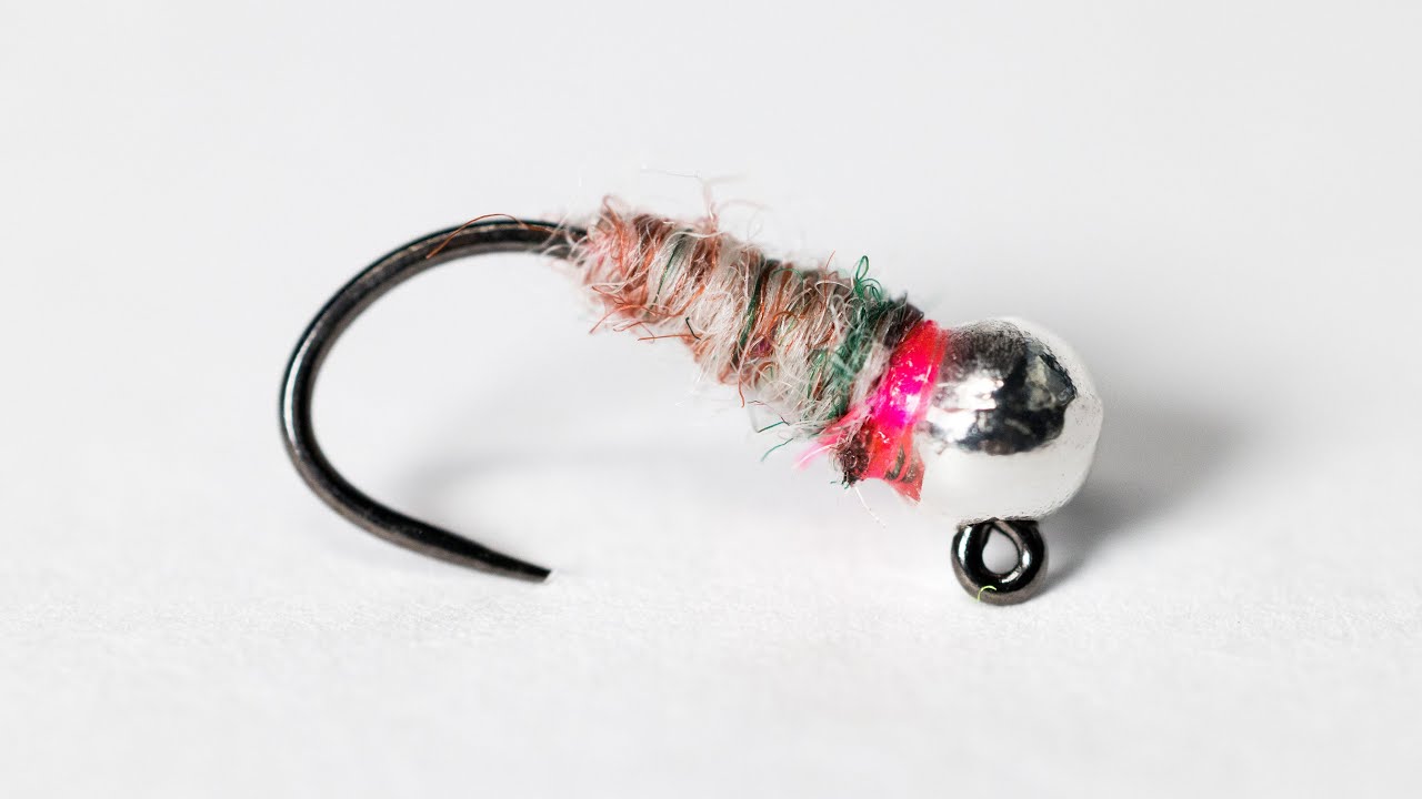 Utah Killer Bug