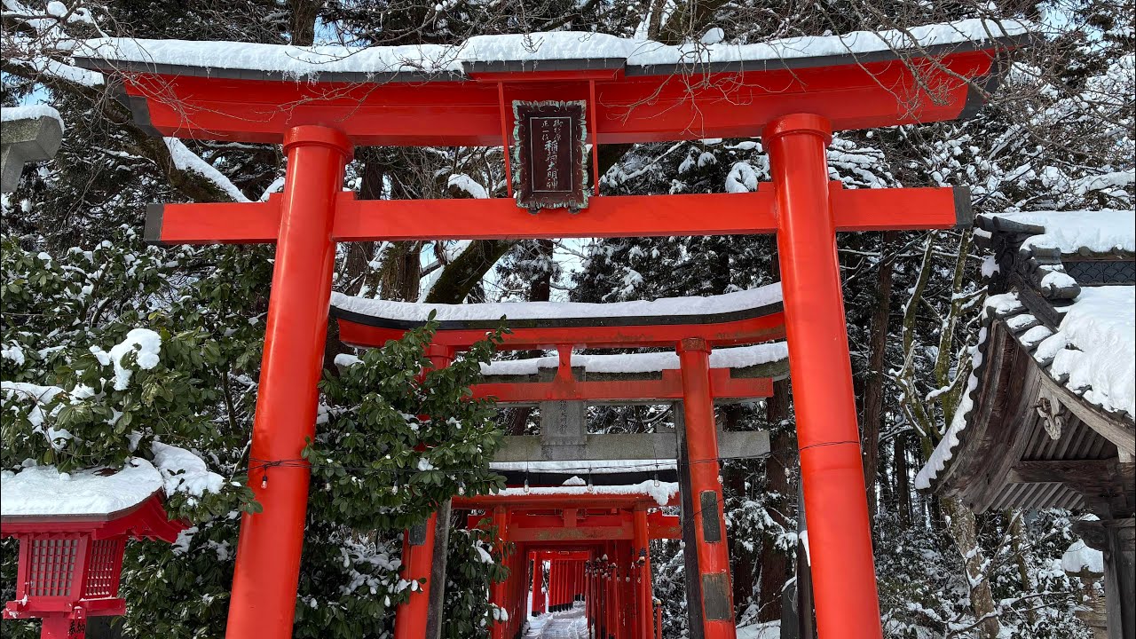 ❄️雪がヤバい❄️からの素敵な神社参拝⛩️