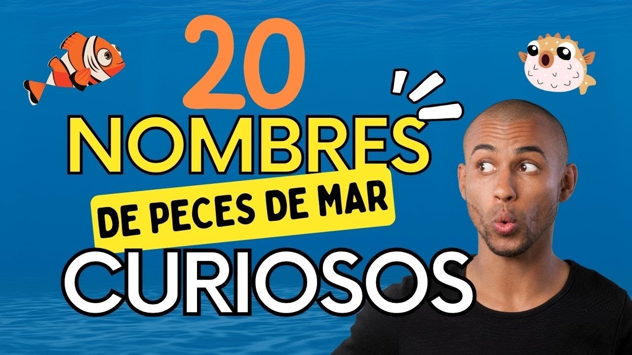20 nombres de Peces de mar Curiosos Que No Creer&aacute;s Que Existen 🐠 Incre&iacute;bles Peces Marinos RAROS