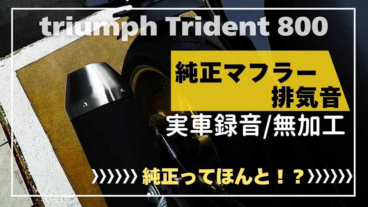 新型 Trident 800 排気音｜ノーマルでこの音？実車/生音録音 (空ぶかし)