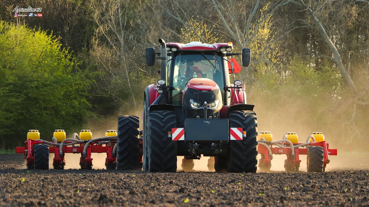 Case IH Optum 270 CVX & Väderstad Tempo L 12 - setí kukuřice