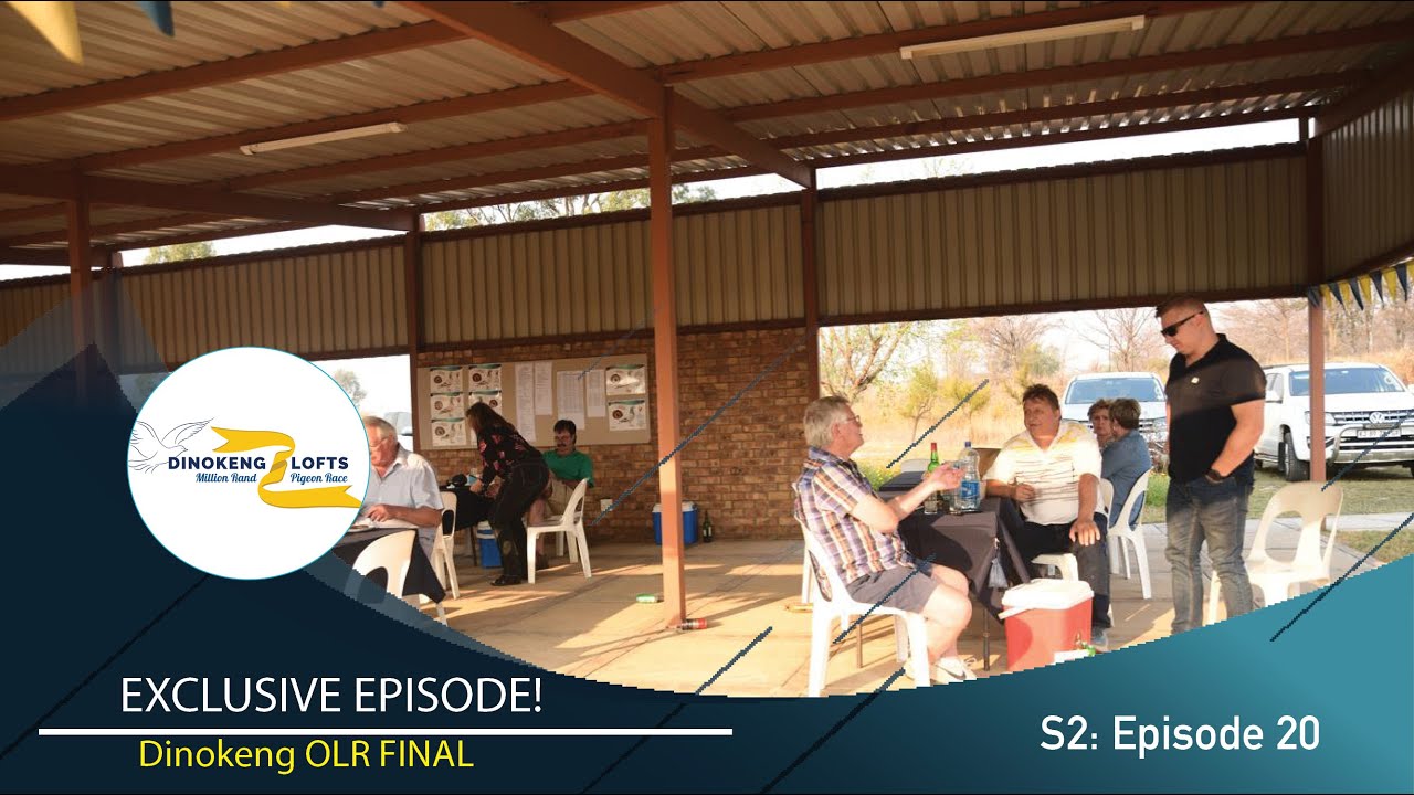 Pigeon Duiwe News TV-  Dinokeng OLR - S2: E20 FINAL RACE!!