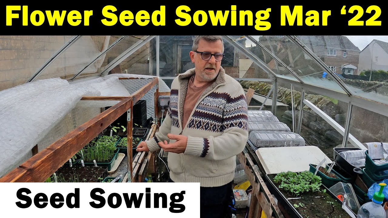 Flower Seeds to Sow in March | Seed Sowing in March | Flower Seed Sowing | Green Side Up