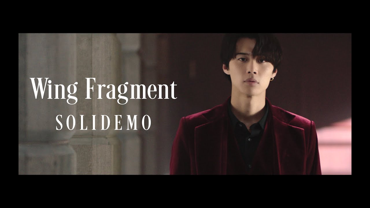 SOLIDEMO / Wing Fragment