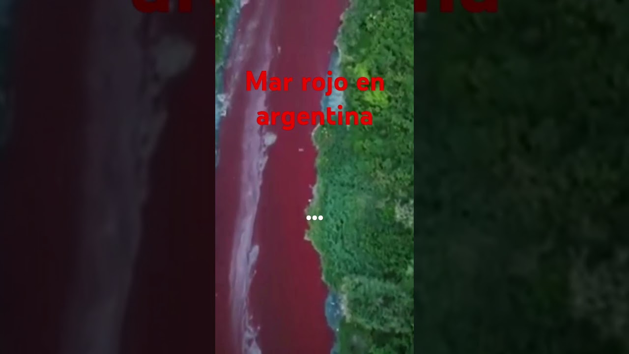 El pez diablo #humor