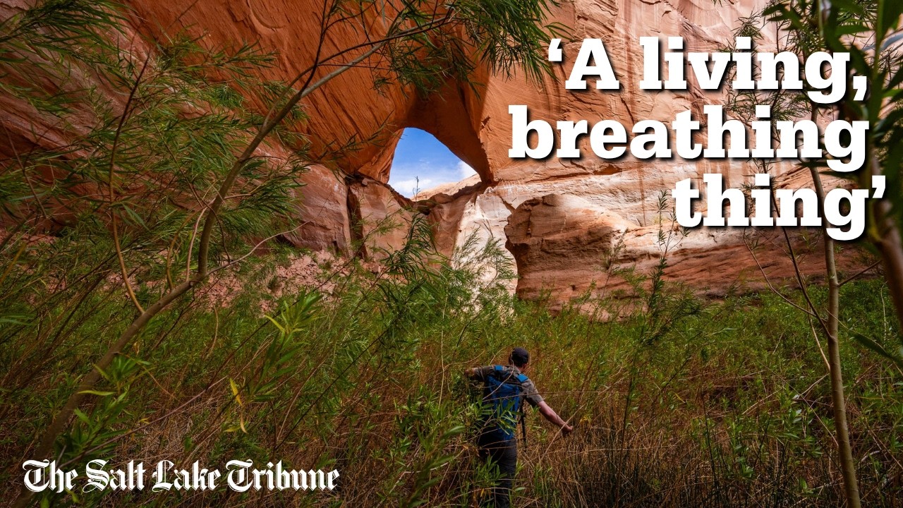 See what&rsquo;s emerging in Glen Canyon as Lake Powell recedes
