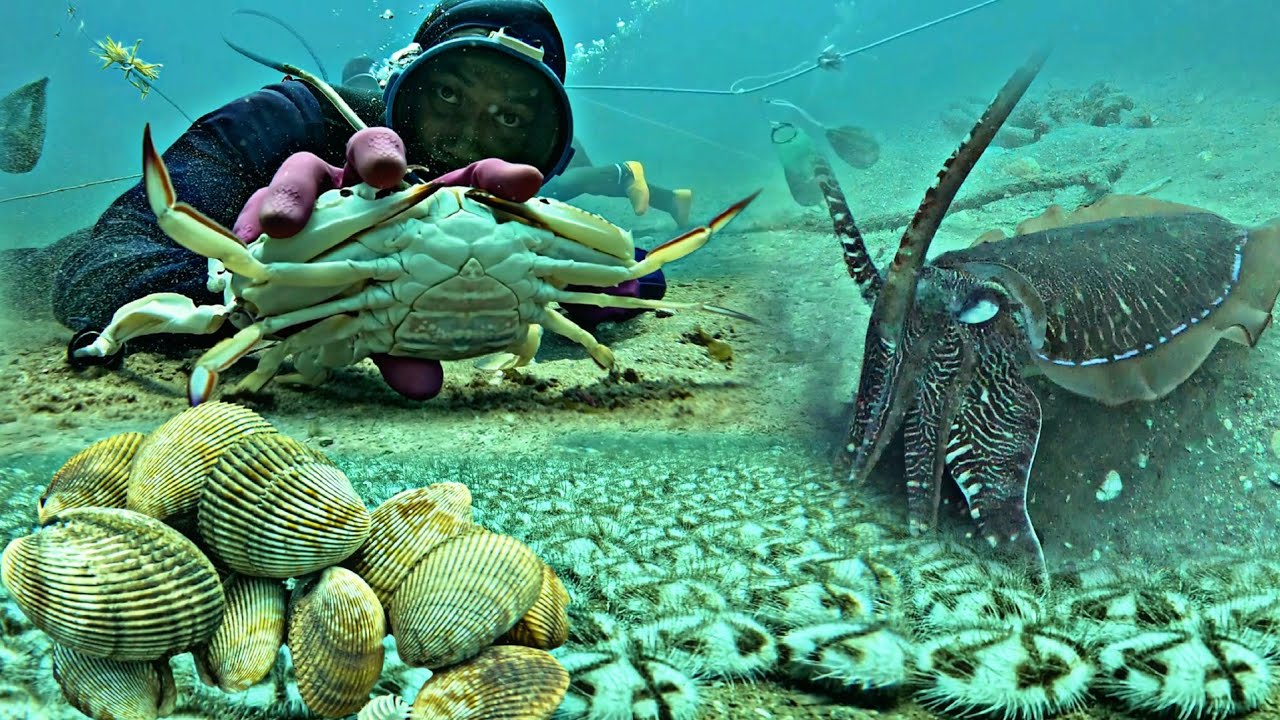 Earning $200 a Day Diving 20 Meters Deep for Seafood!