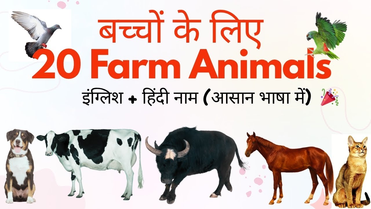 जानवरों के नाम | 20 Farm Animals for Kids | Farm Animal Names in Hindi and English #animalsname