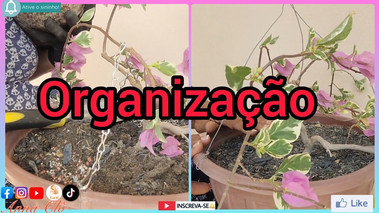 Como arrumei minhas plantas pendentes 