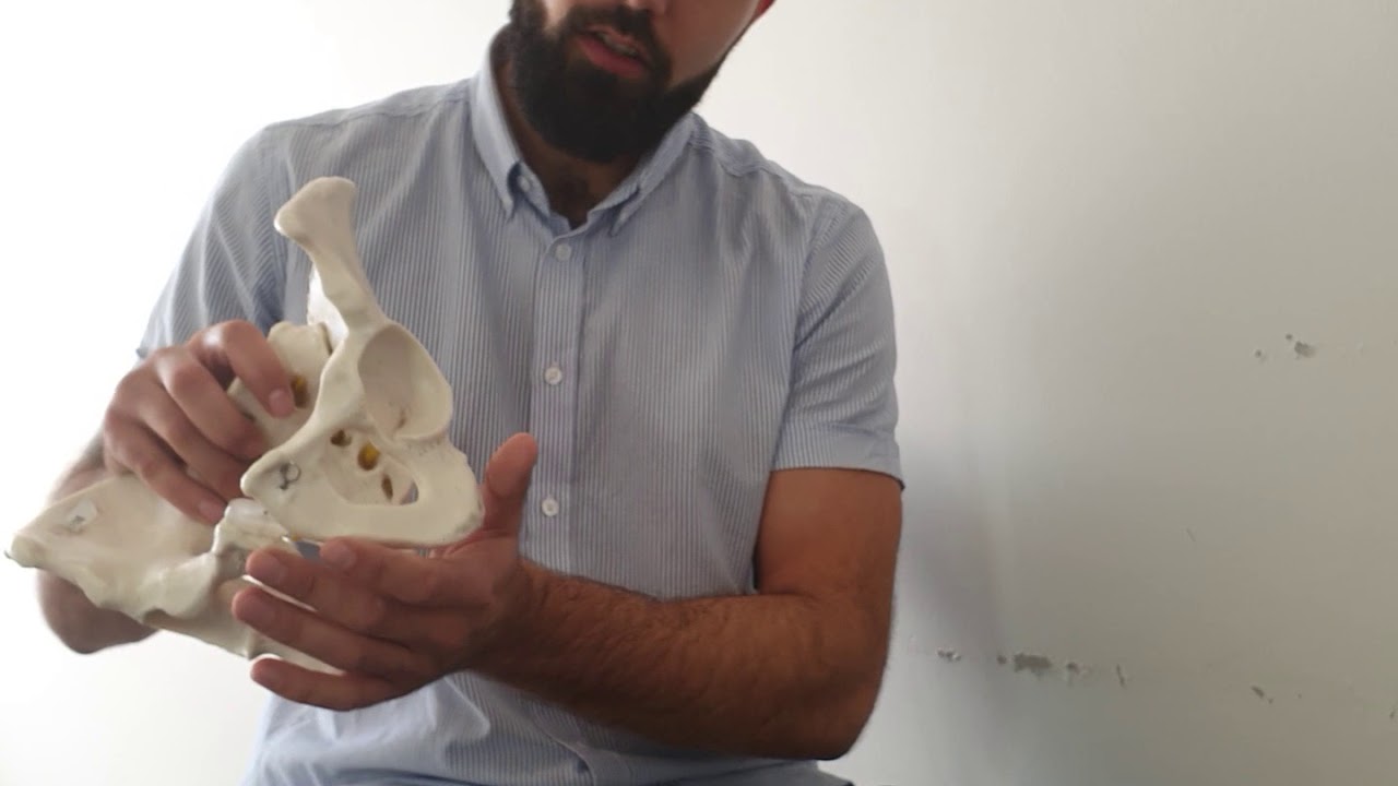 Bækkenbund og Inkontinens - Aarhus Osteopati og Fysioterapi