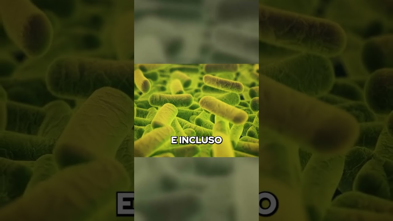 Ajo como antibiótico natural