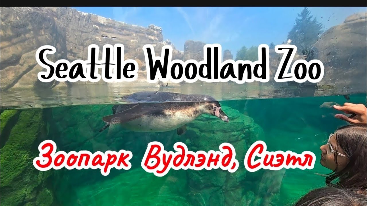 Мы Поехали в Зоопарк! / We Went to the Zoo!