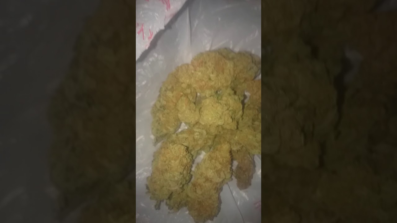 Dutch G13 UK street weed🇱🇺