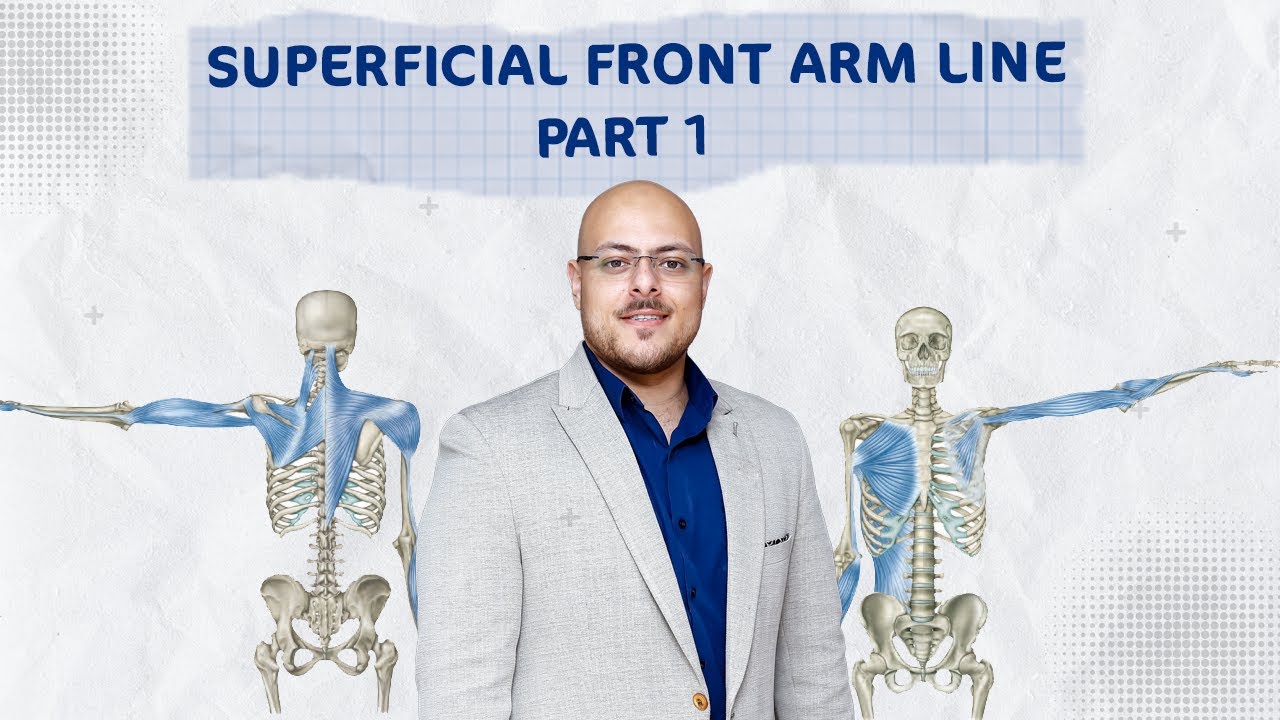 Unlocking the Secrets of the Body's Anatomy Train: Superficial Front Arm Line Part 1 | د/ أحمد مبروك
