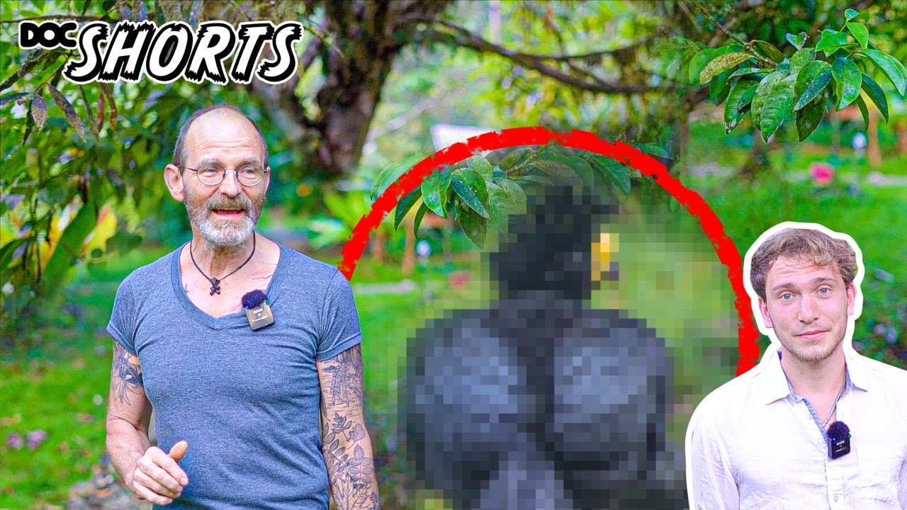 DOC SHORTS | Folge 4 – Satter Bass im Unterholz: Der Tuberkel-Hocko