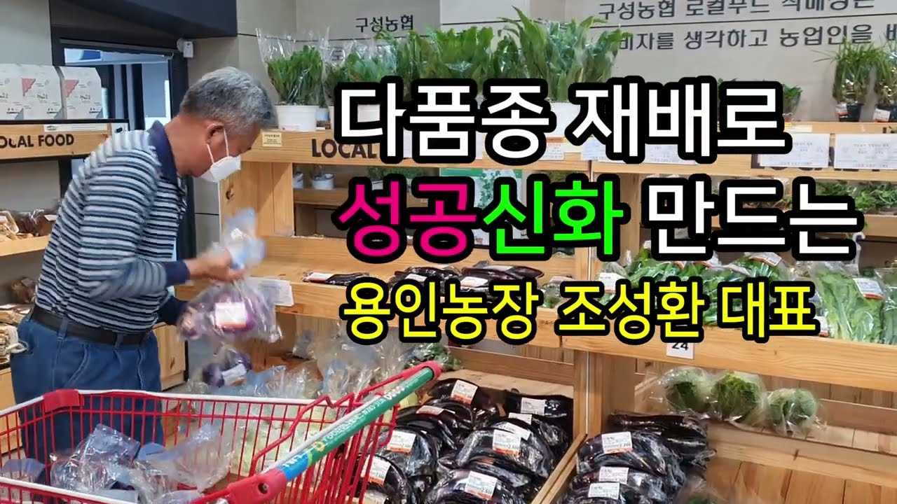 용인농장 조성환 대표의 엽채류 이야기