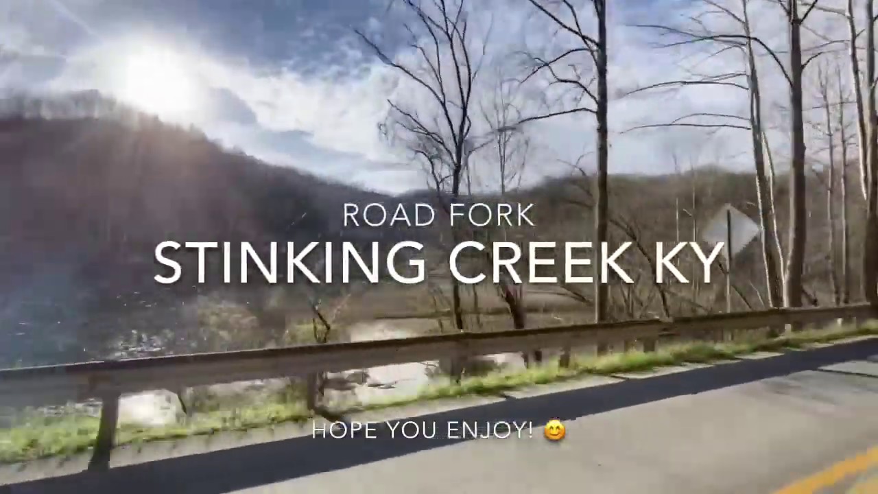 Stinking Creek - Road Fork