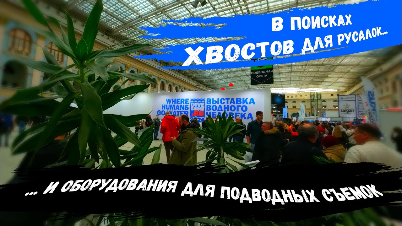Московское Дайв Шоу 2024 / Moscow Dive Show 2024 / Выставка Водного Человека 2024